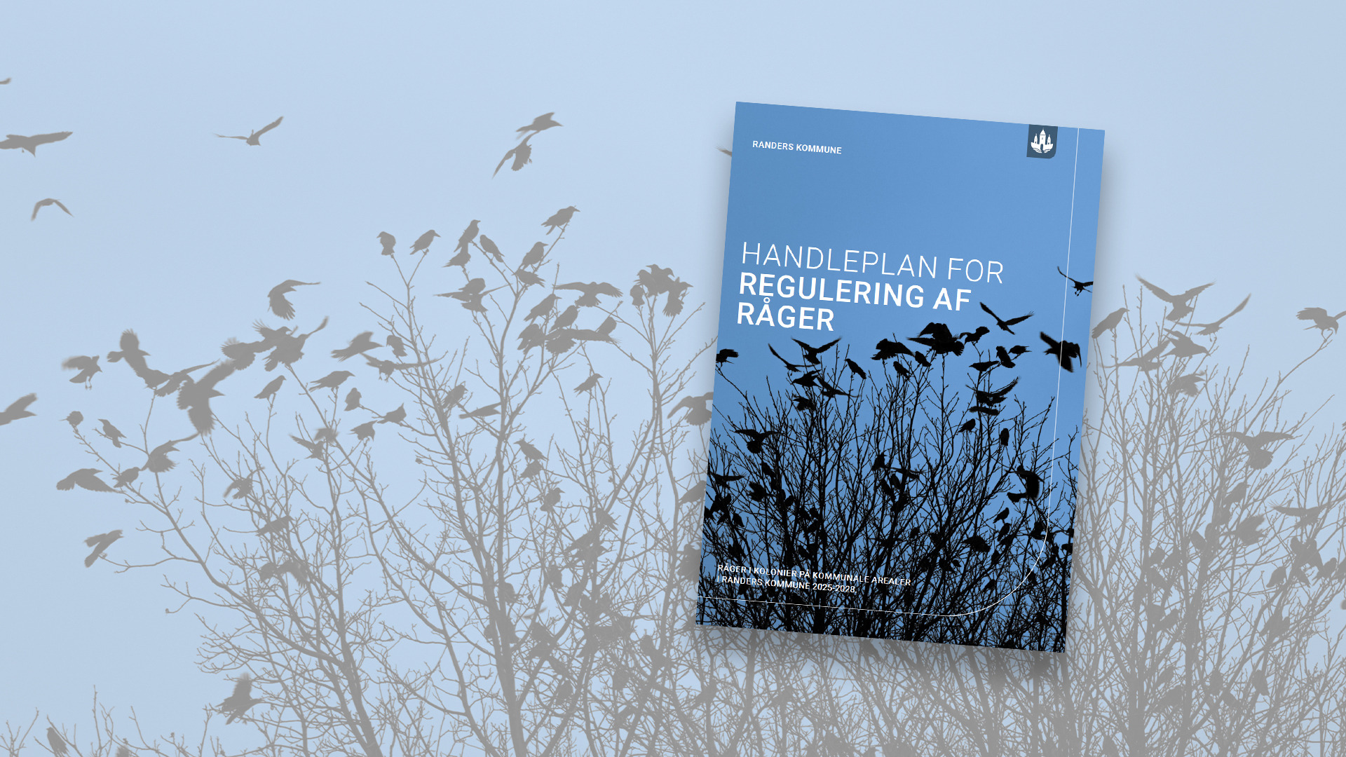 Bekæmpelse af rågekolonier bliver sat i system