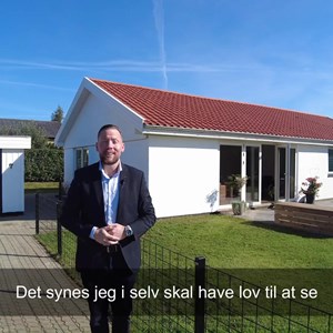 Opslagsbillede