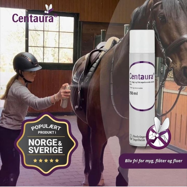 Det nyeste på Hernings opslagstavle