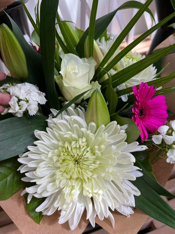 Se dagens updates fra Horsens her