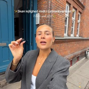 Opslagsbillede