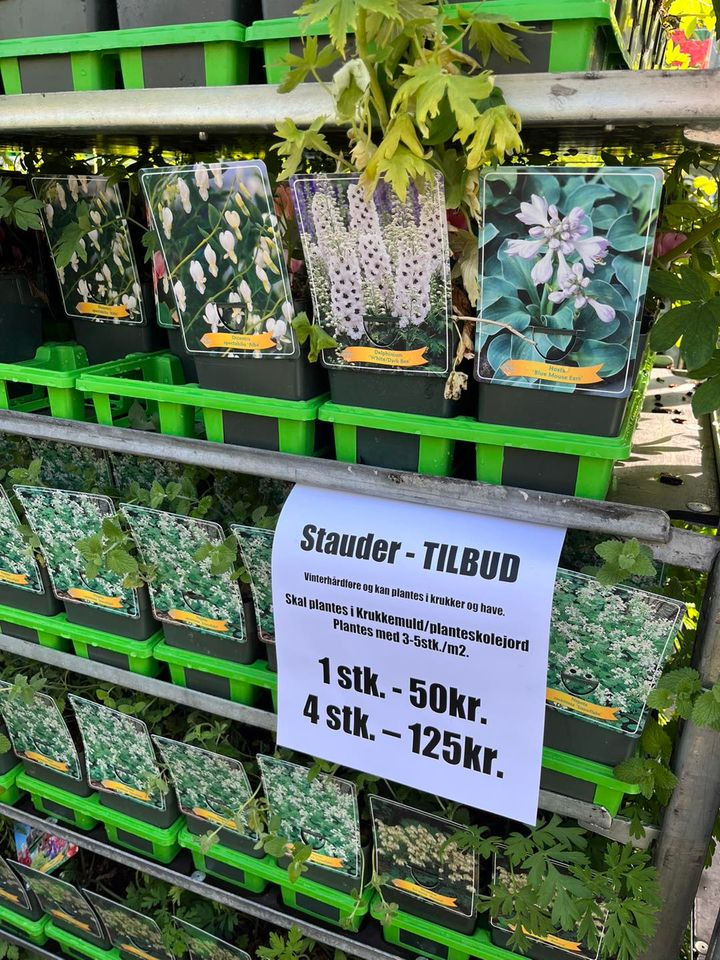 Nyt på opslagstavlen i Hedensted