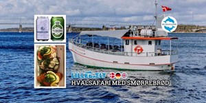 Hvalsafari i Fredericia: To unikke oplevelser med MS Marianne