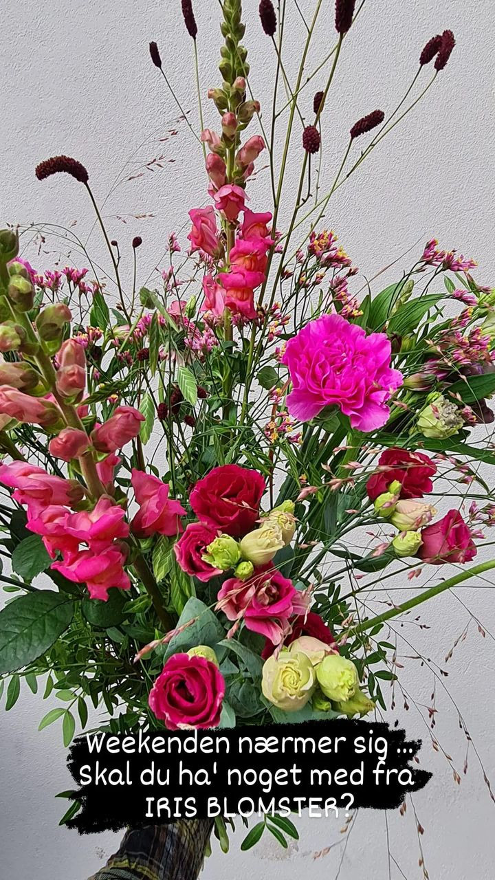 Opdatér dig her: Det nyeste fra Fredericia