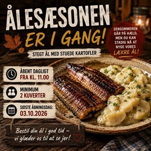 Opslagsbillede