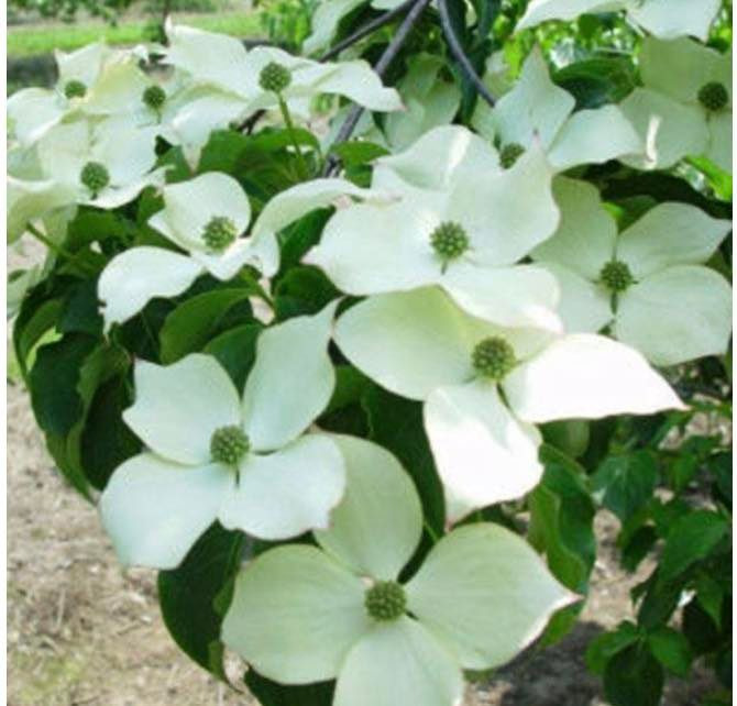 Se dagens updates fra Hobro her