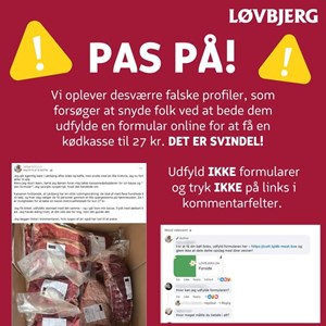 Opslagsbillede