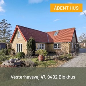 opslagsbillede