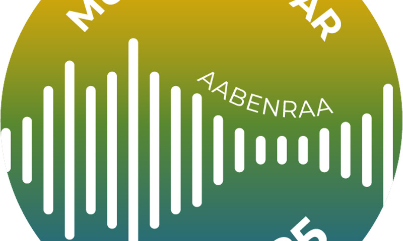 Aabenraa Kommune investerer stort i Musikkens År 2025 med støtte til bred vifte af arrangementer