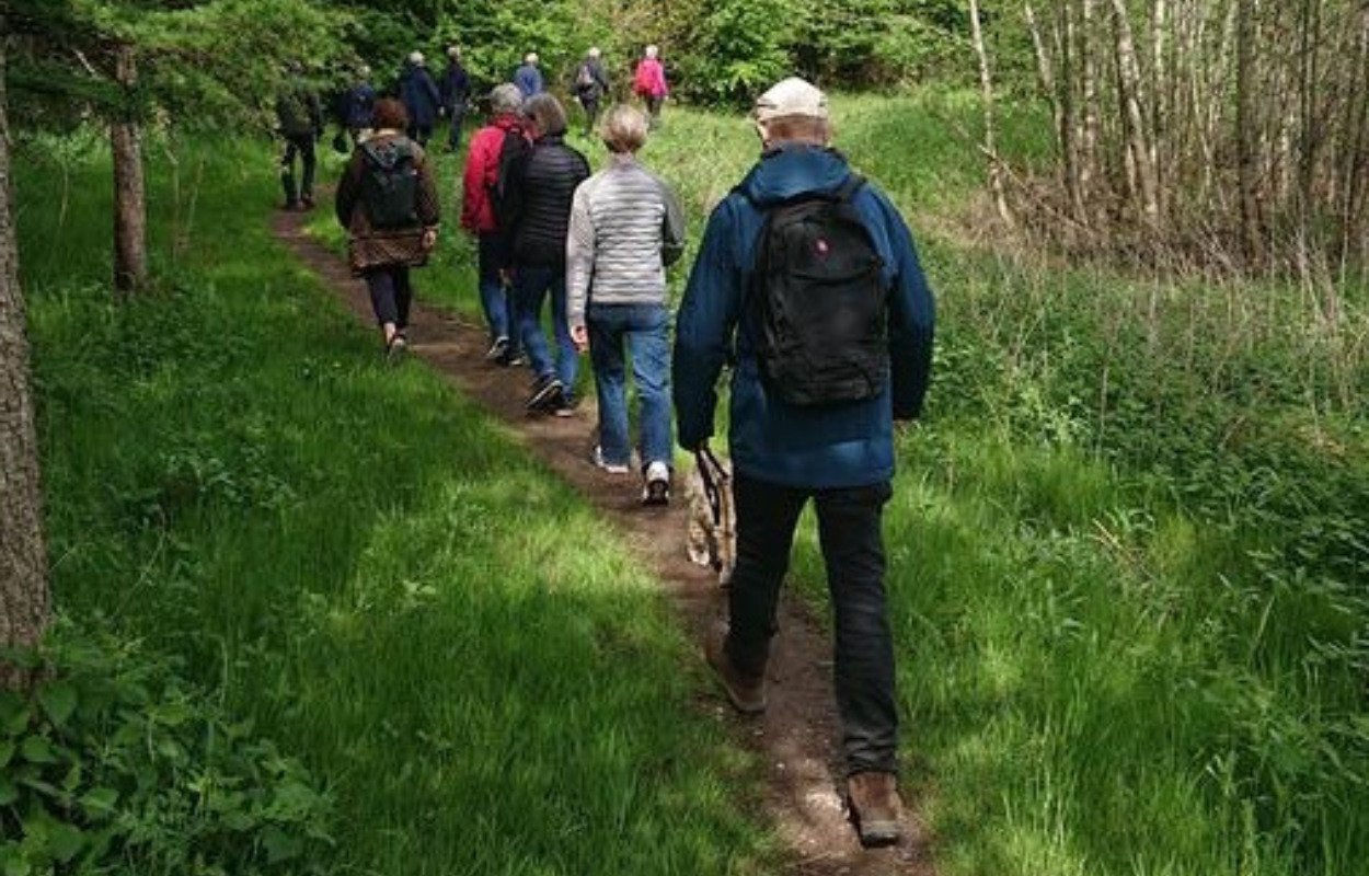 Tag med på vandretur i Børupskoven ved Tranbjerg 