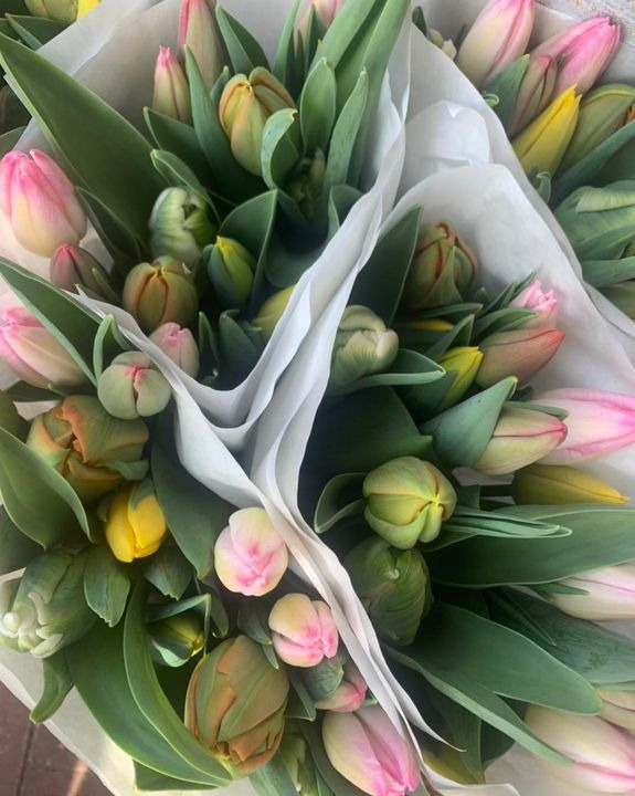 Opslagstavlen: Nyeste opdateringer fra Støvring