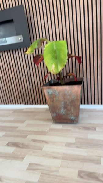 Flügger Farver Korsør viser kreativt krukkeprojekt for kunder