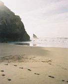 ZENZ forpligter sig til ansvarlighed gennem FN's Verdensmål for bæredygtighed