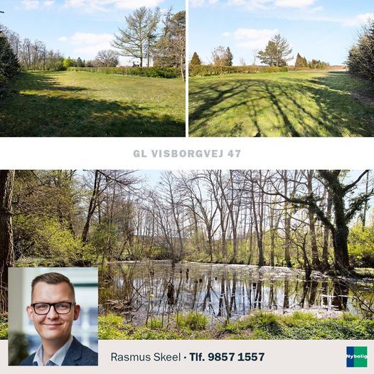 Seneste nyt: tophistorier på sociale medier i Hadsund