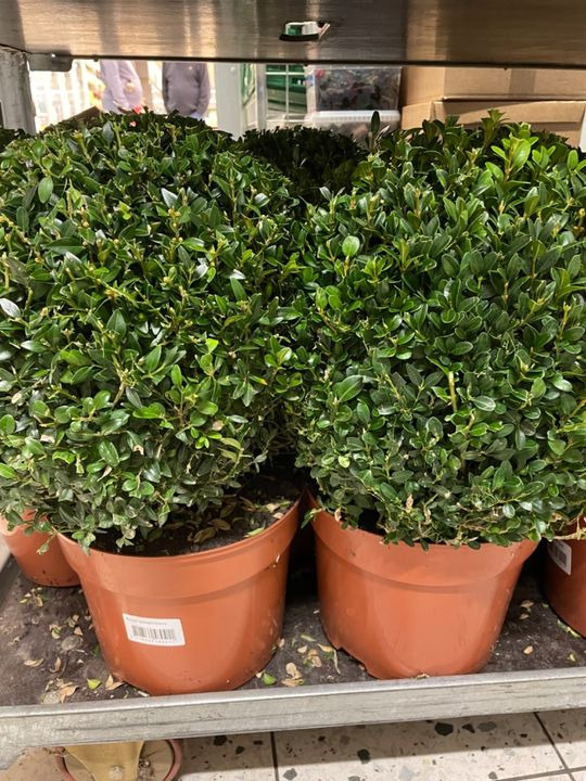 Nyt på opslagstavlen i Randers