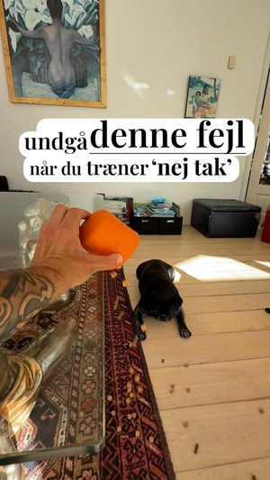 opslagsbillede