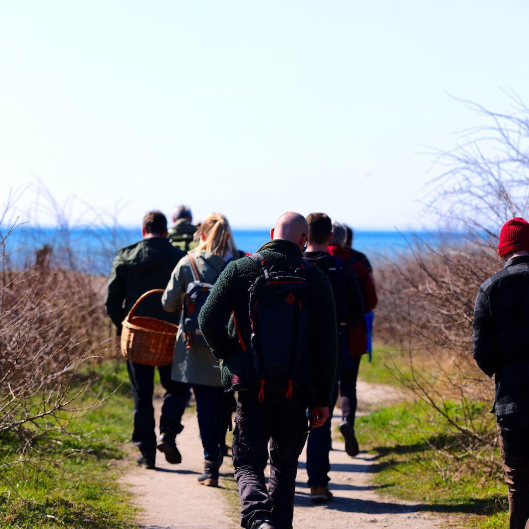 Oplev vild mad i naturen med guidet sanketur i Tjæreborg