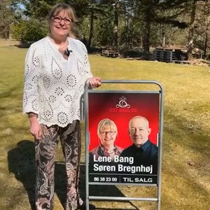 Opslagsbillede