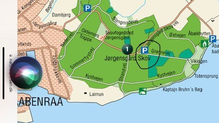 Efterårstur i Jørgensgård Skov: Find svampe med eksperter