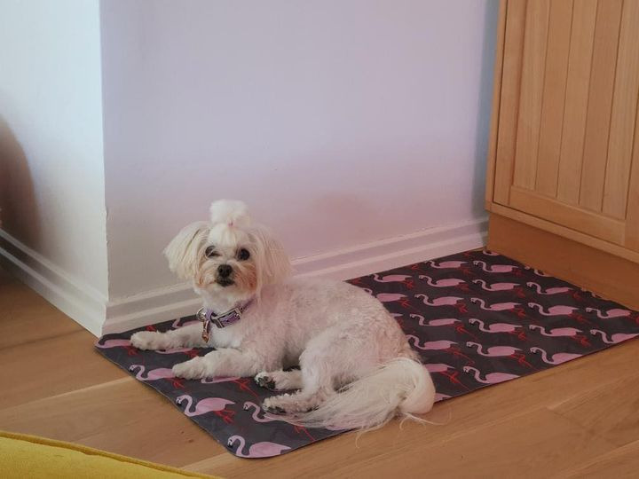 En finger på pulsen i Vejle