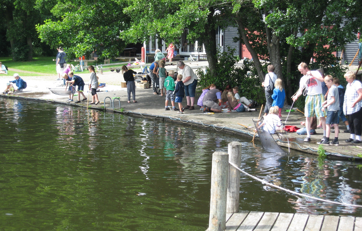 Vær med til at undersøge fisk og dyr omkring søerne i Ry