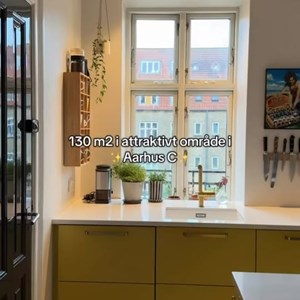 Opslagsbillede