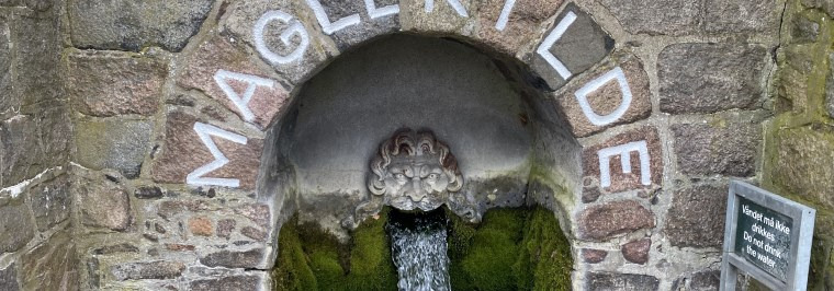 Oplev Roskildes historiske kilder på byvandring