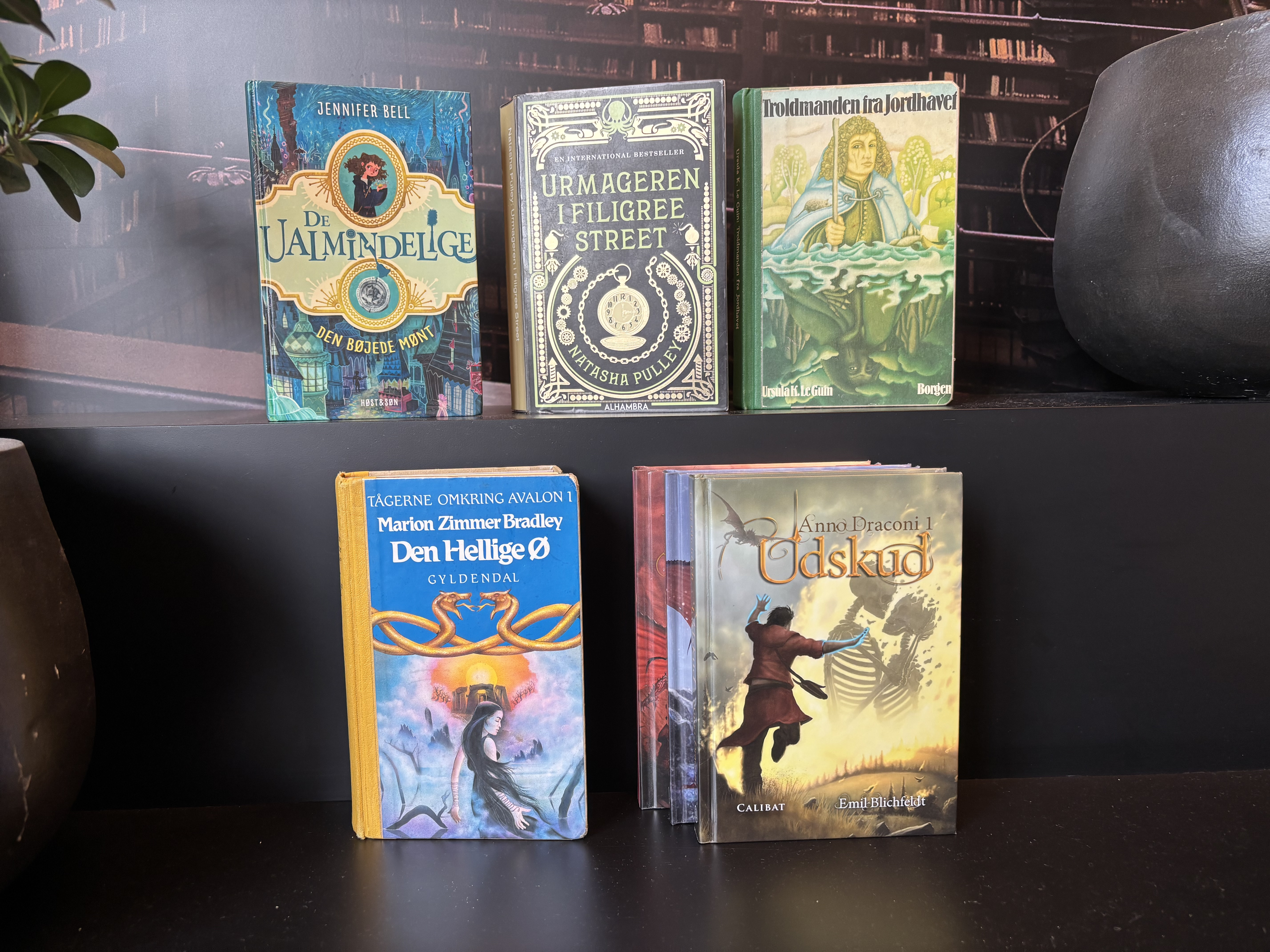 Fantasy Fellowship læsekreds på Hedensted Bibliotekerne