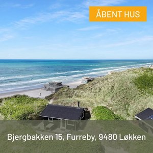 opslagsbillede