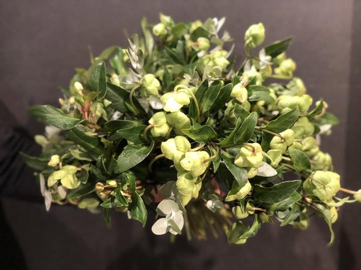 Sidste frist for bestilling af julebuketter hos Fynbogården Blomster ApS