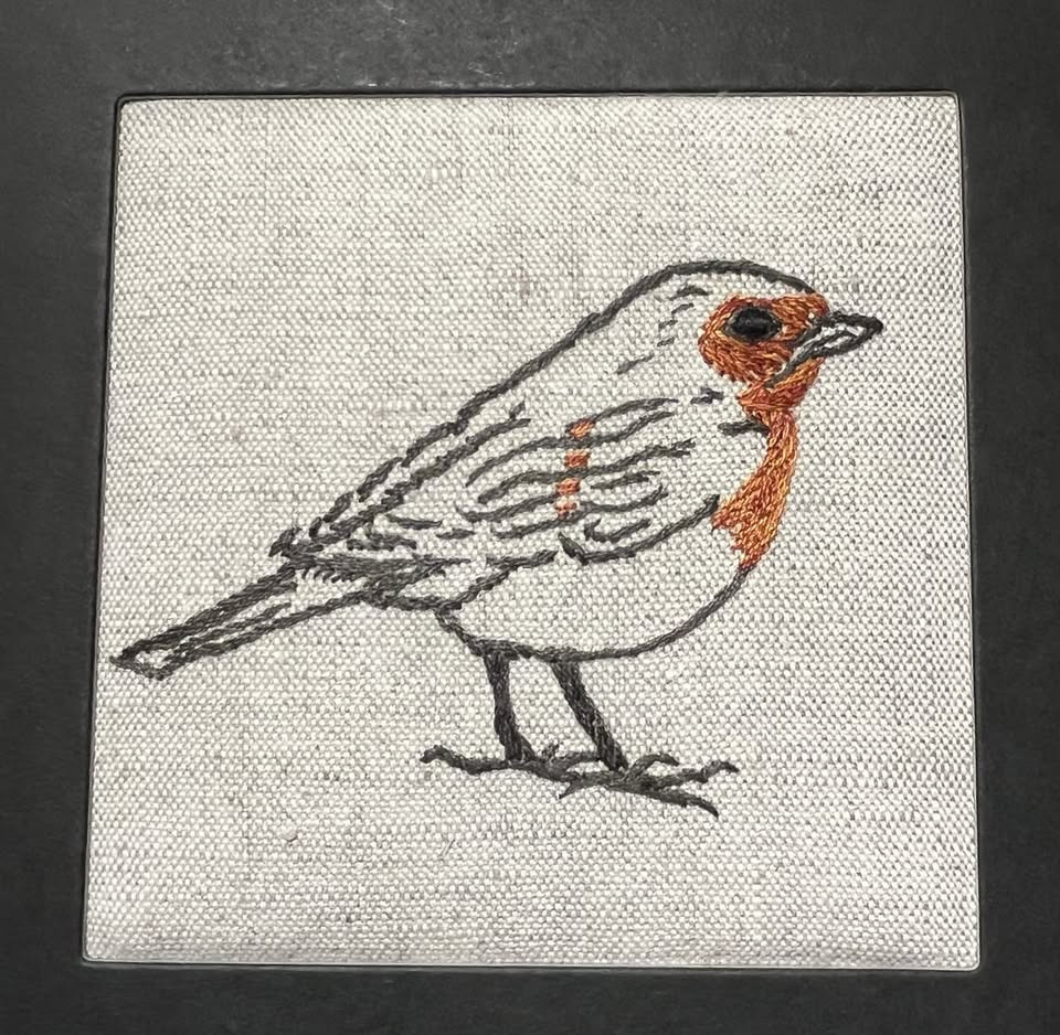 Verdens Broderi-dag fejres i Ishøj med fokus på fred og mangfoldighed