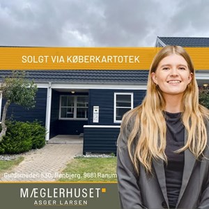 Opslagsbillede