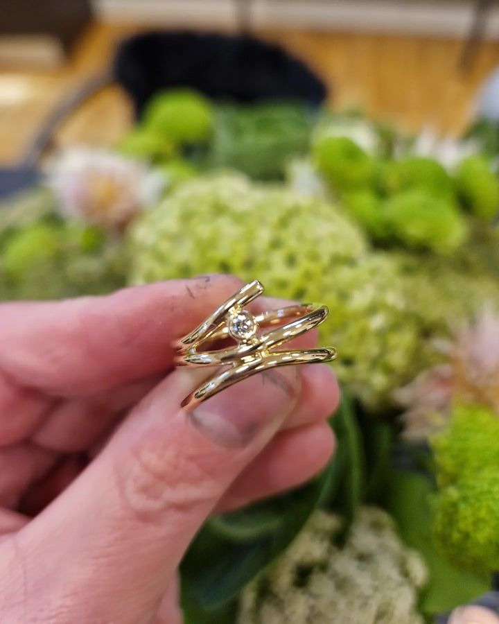 Hold trit med lokalområdet: Nyt fra Skive