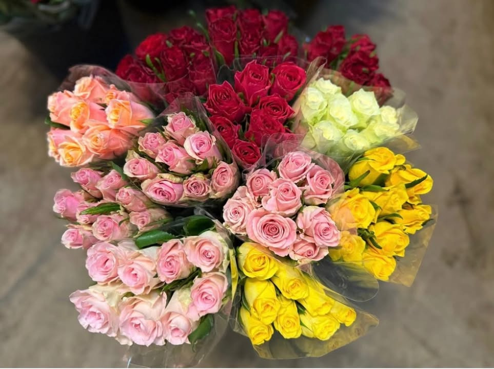 Meny Gl. Skagensvej tilbyder smukke roser til vanvittig flot pris