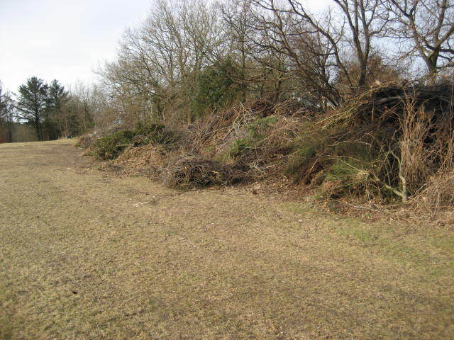 Coronaen – problem eller udfordring?