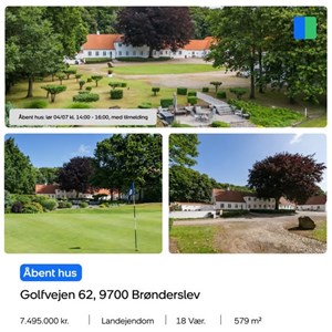 opslagsbillede