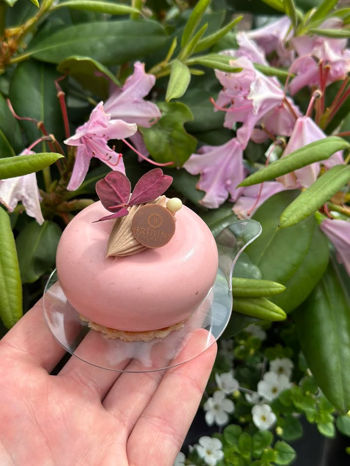Bruuns Chokolade introducerer ugens kage med solbær og hindbær