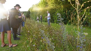 Stigende interesse for at leve klimavenligt