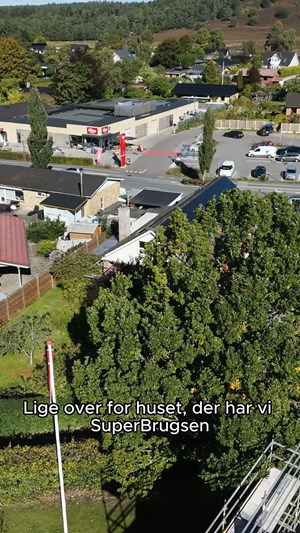 opslagsbillede