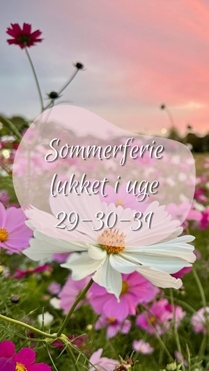 opslagsbillede