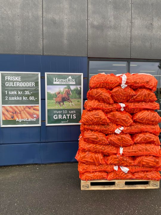 Se dagens updates fra Herning her