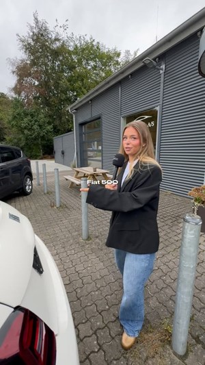 opslagsbillede