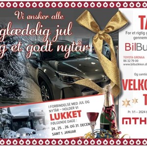 Opslagsbillede