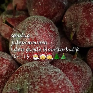 Opslagsbillede