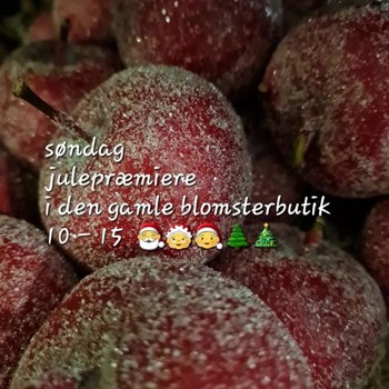Opslagsbillede