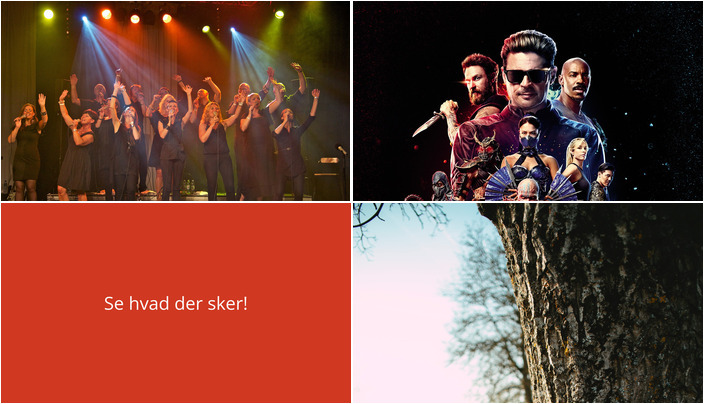 Oplev Hjørring denne weekend: Sang, film og vandring