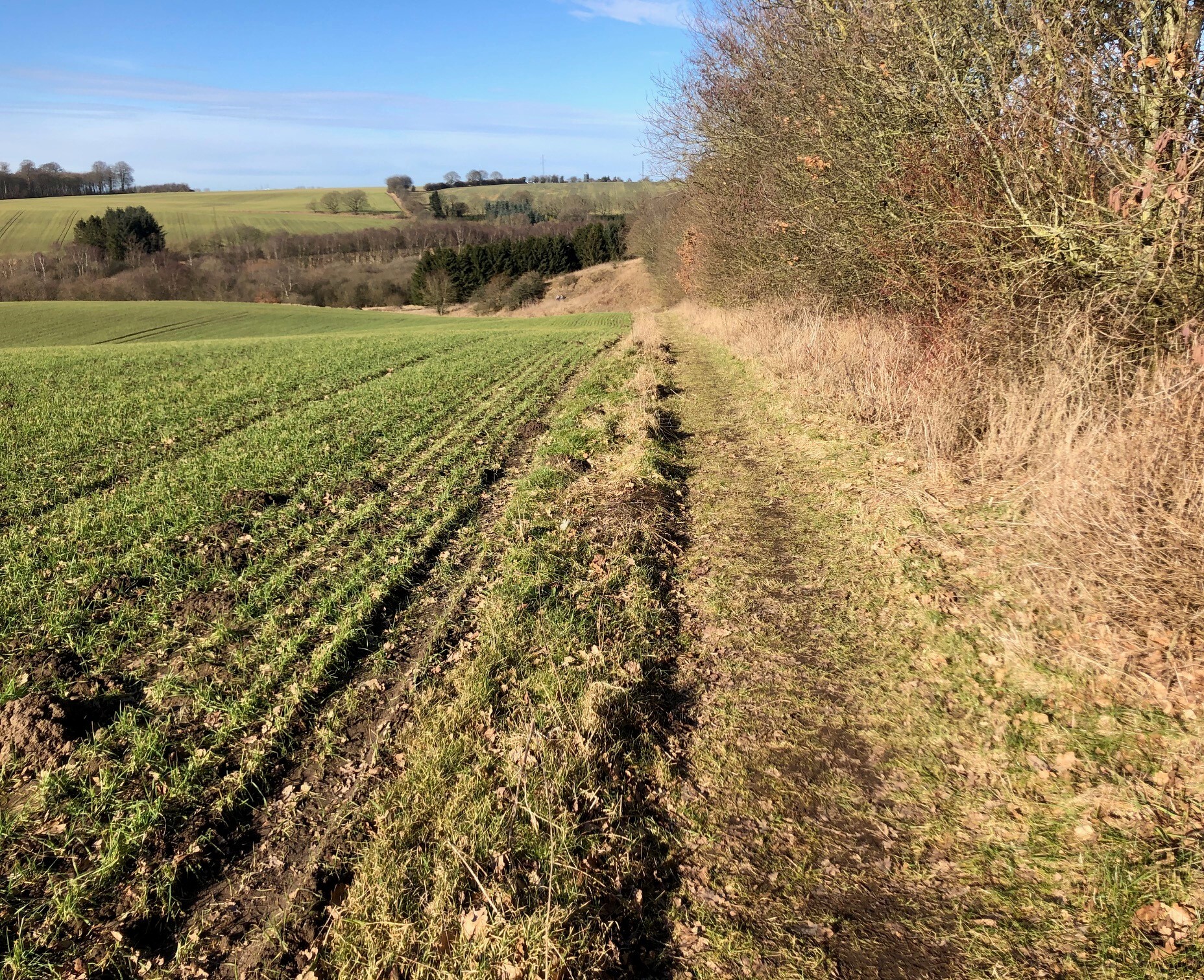 En forårsdag i Sabro