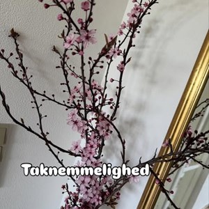 Opslagsbillede