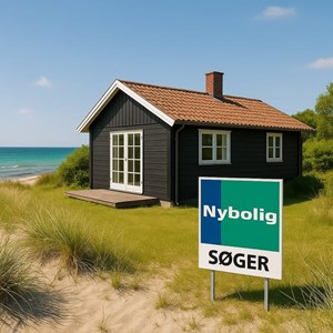 Opslagsbillede