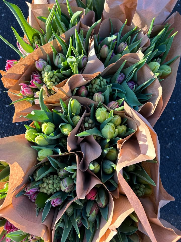 Forårsbuketter til ja-tak pris hos Min Købmand i Asp – kun 55 kr.